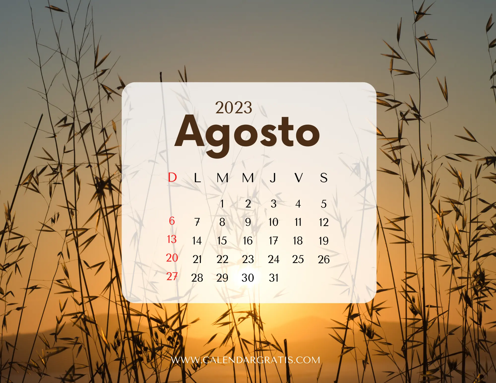 Un colorido calendario agosto 2023 flores adornado con hermosas 