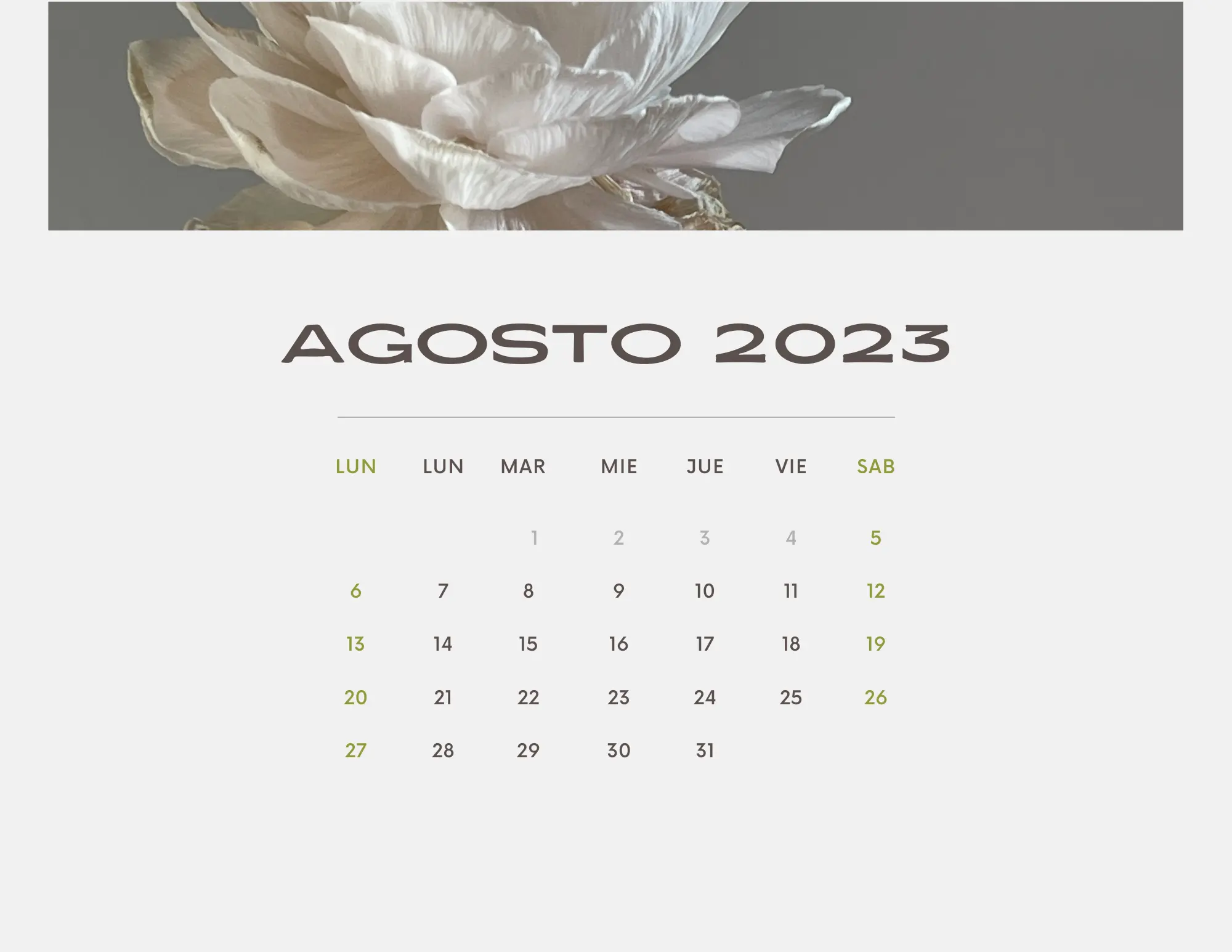 Organícese con un impresionante calendario agosto 2023 flores  diseños