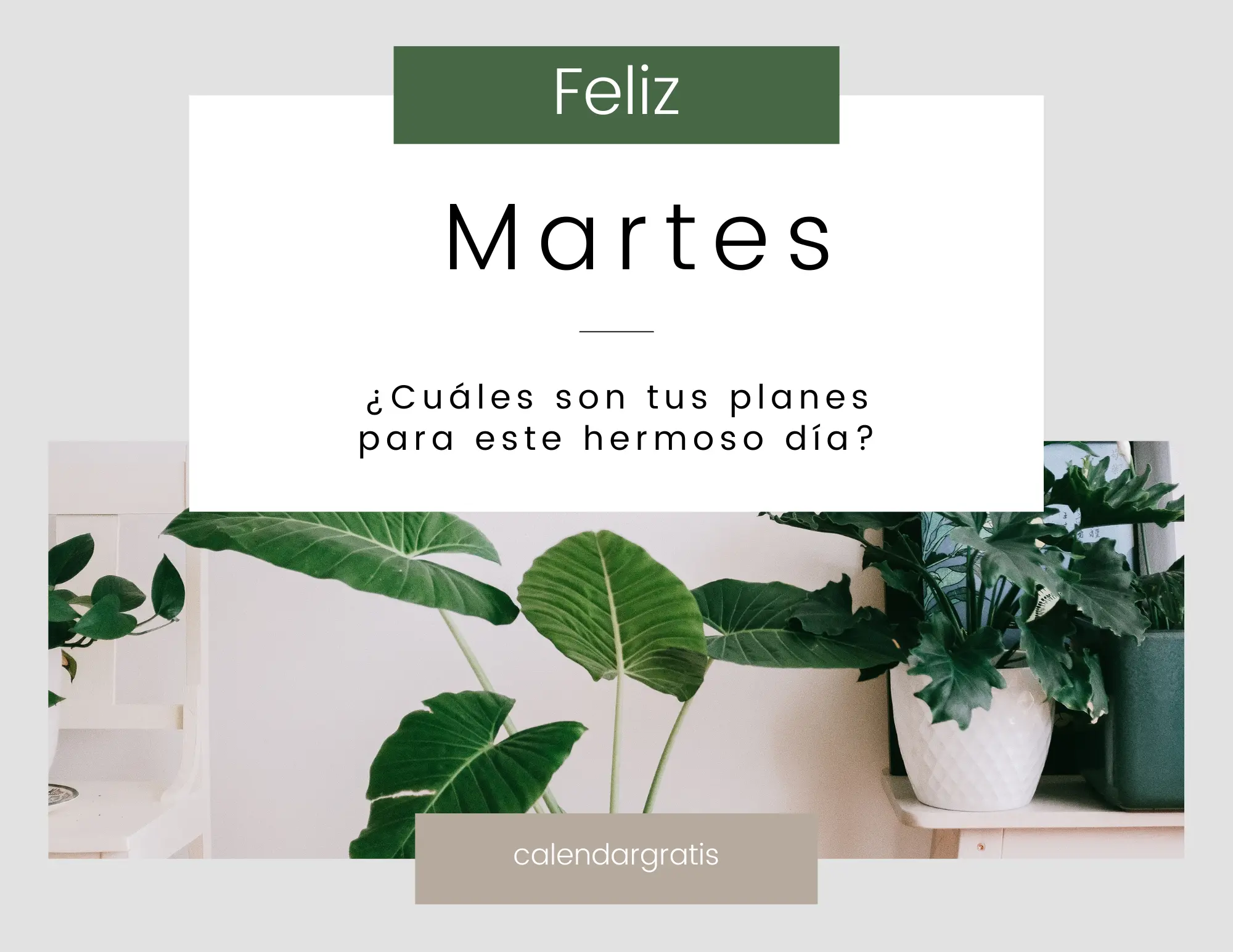 Una imagen con un fondo brillante y colorido que dice 'Feliz Martes' en letras grandes y audaces. La imagen transmite una sensación de alegría y entusiasmo para empezar el día.