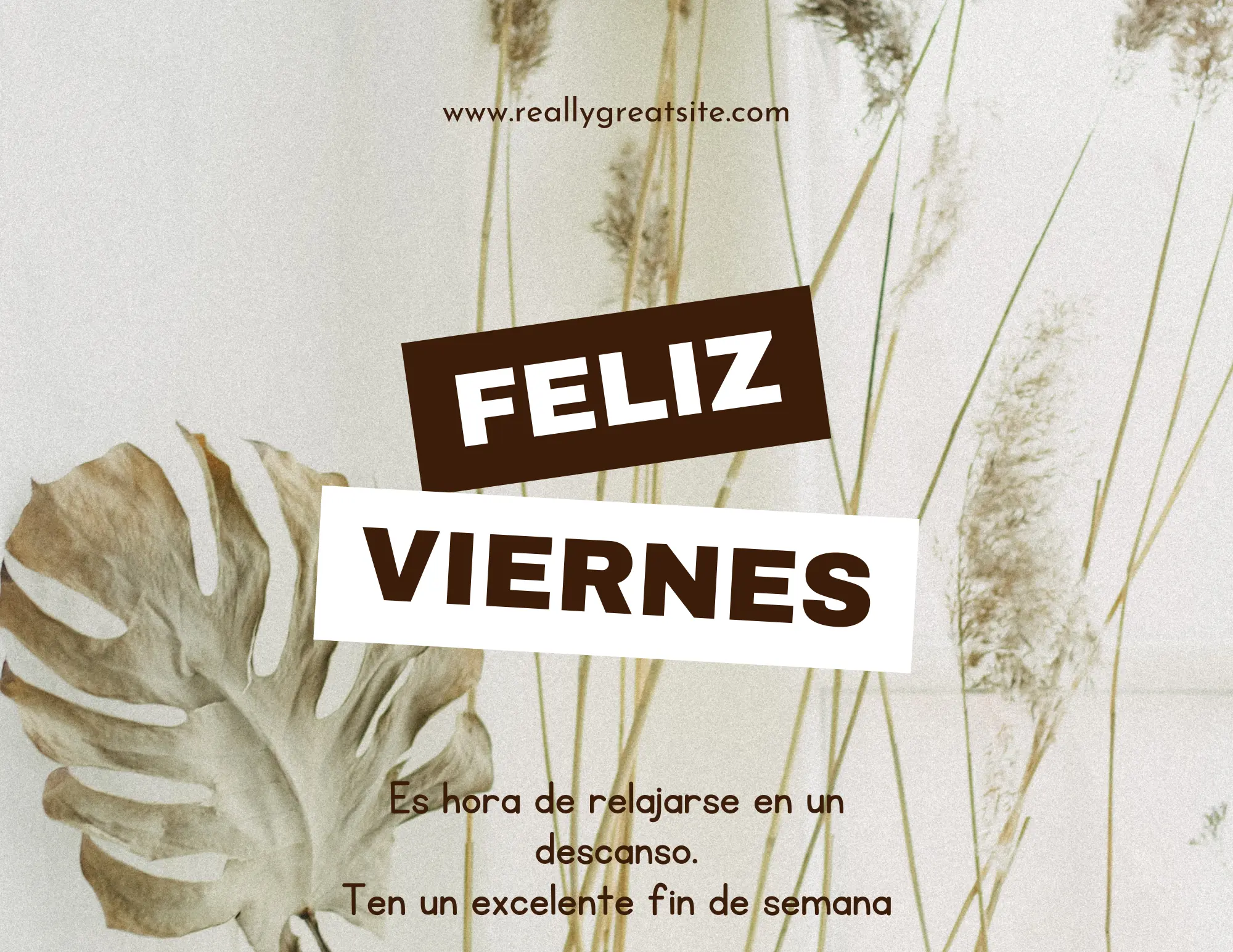 Imágenes con frases para desear un Feliz Viernes