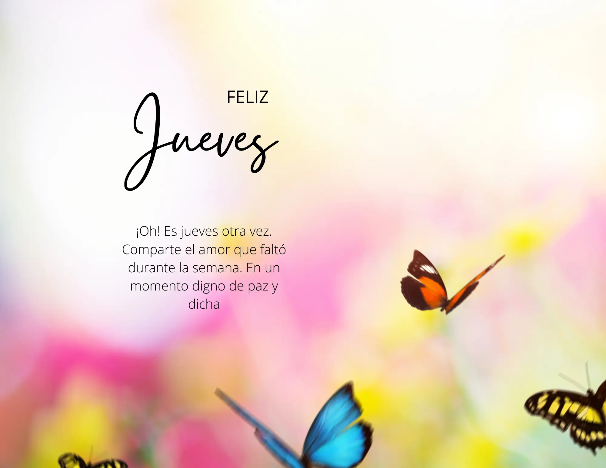 Una imagen vibrante que dice "Feliz Jueves" de fondo llena de mariposas de colores.