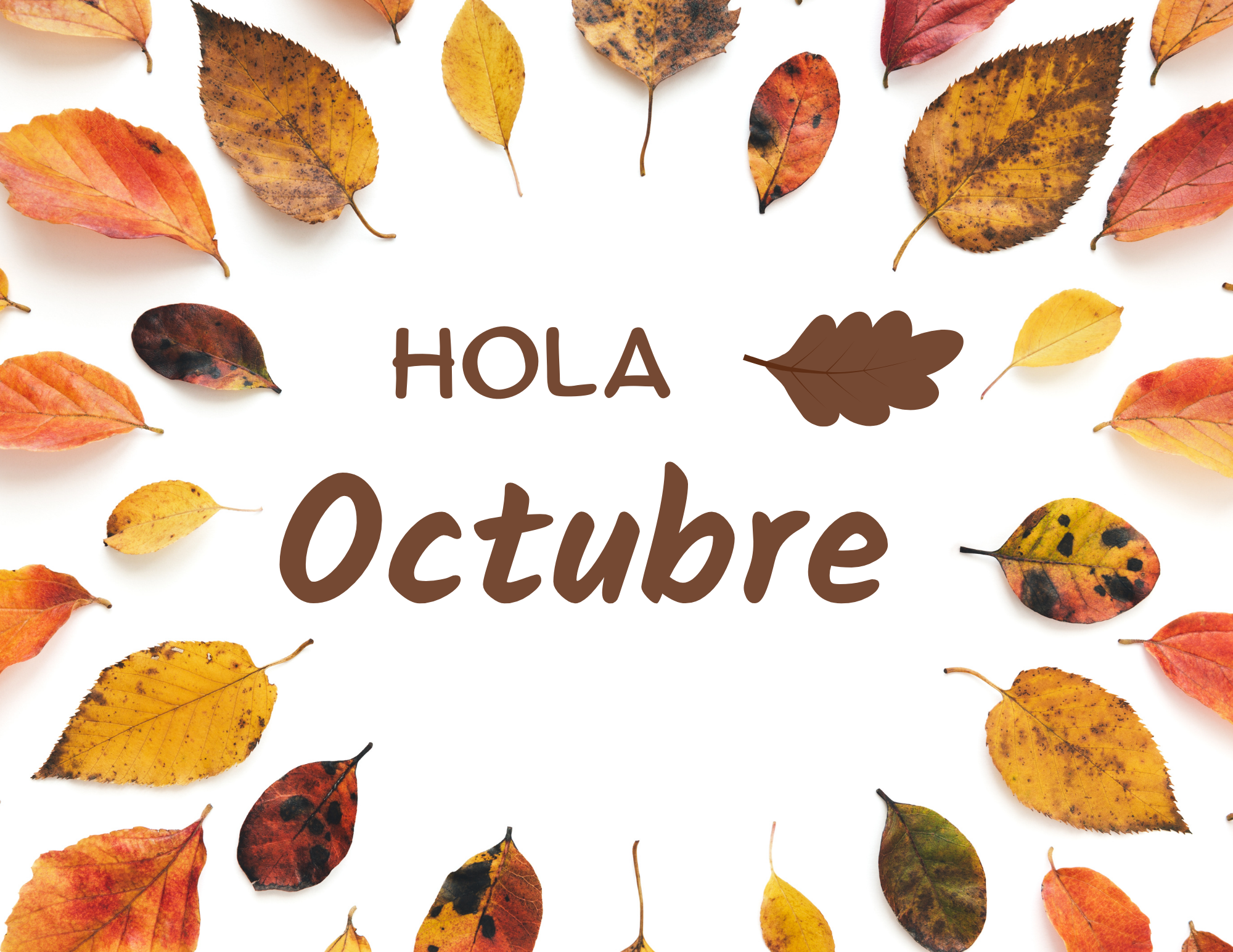 Imagen de "Hola Octubre" con un hojas caídas.