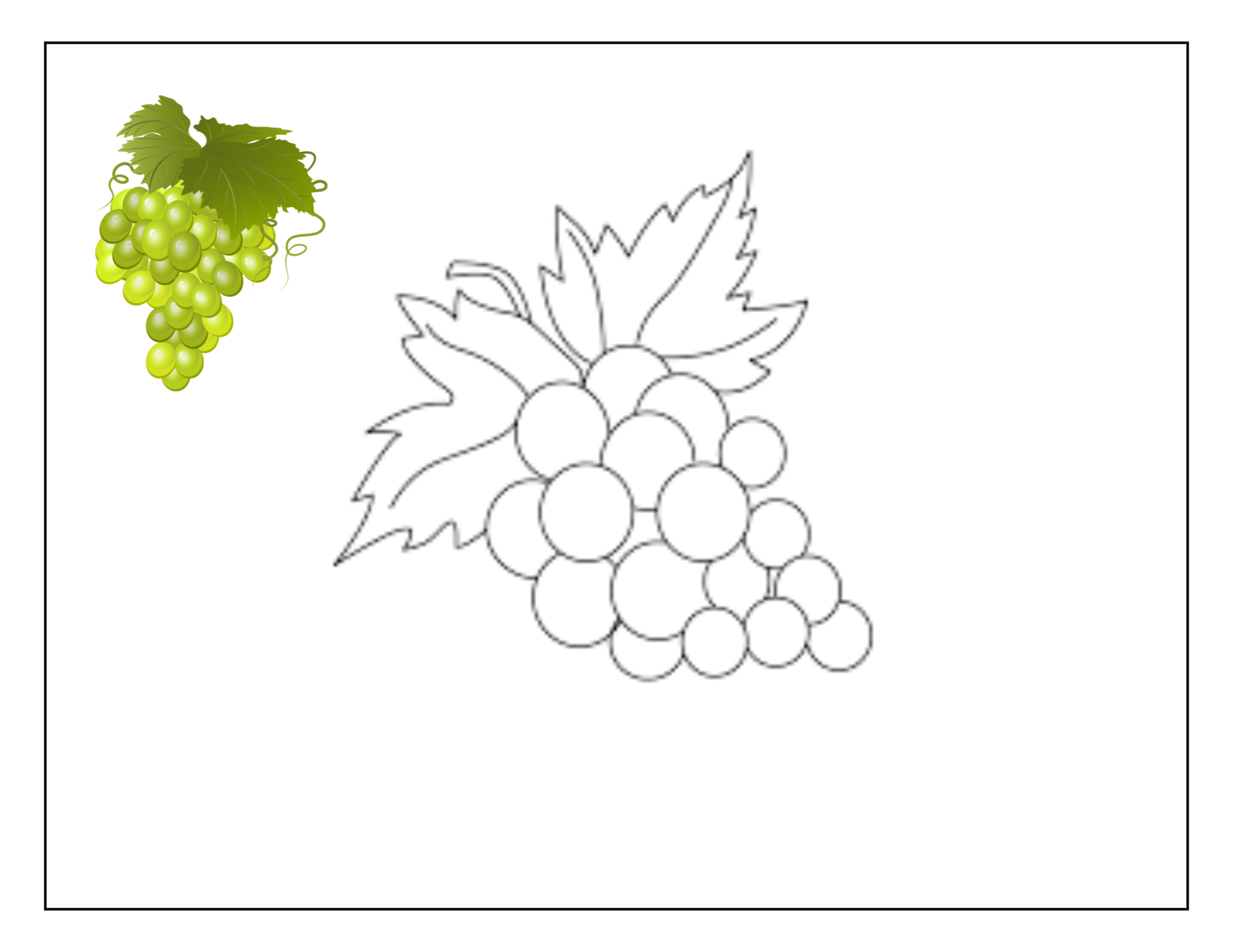 Fruit coloring pages for toddlers - Grapes
